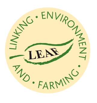 LEAF